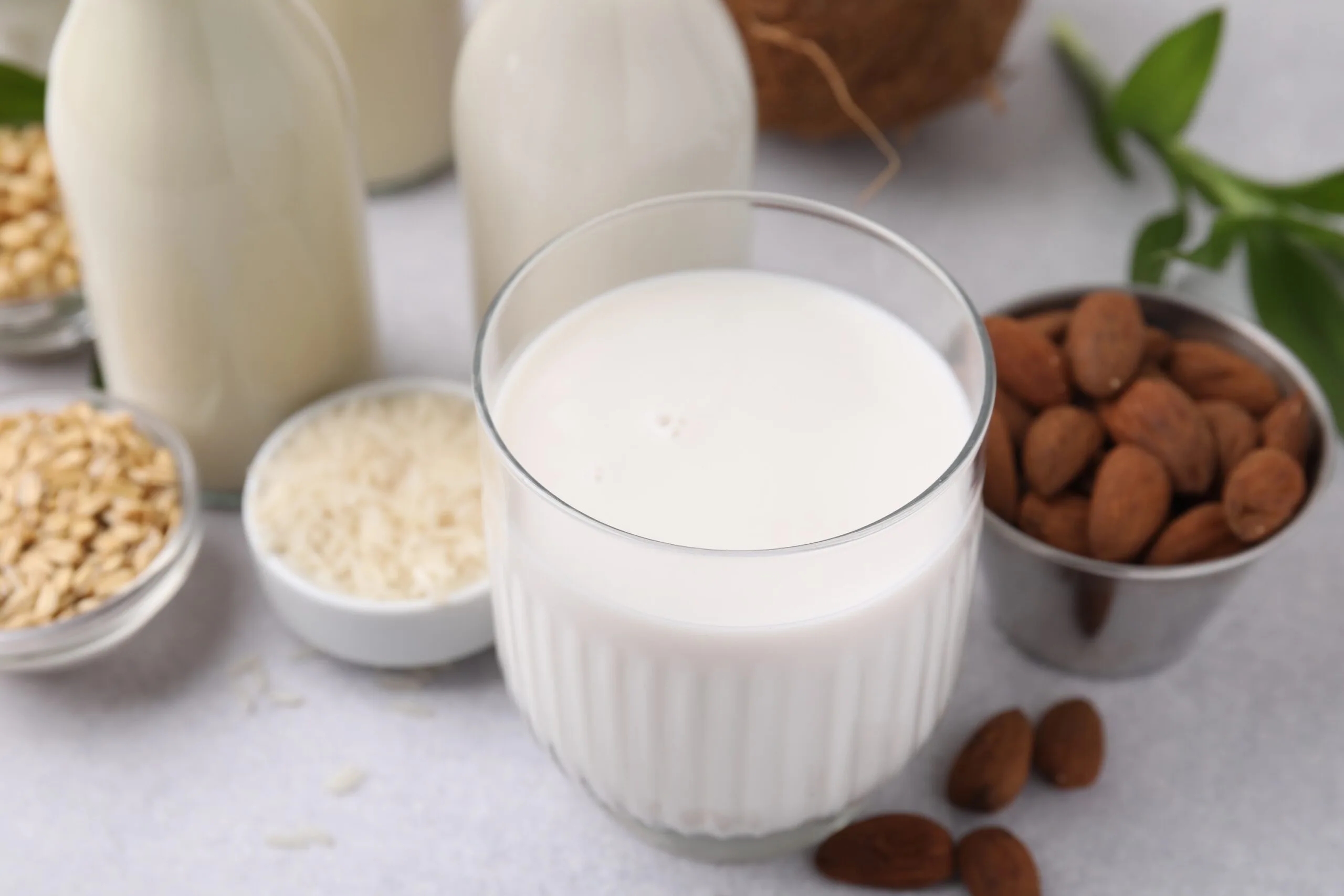 Beverage, Milk, Food